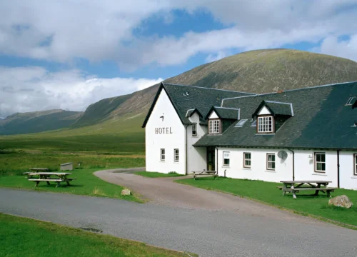 Cozy Accommodation